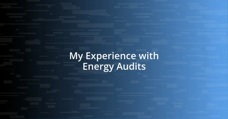 My Experience with Energy Audits