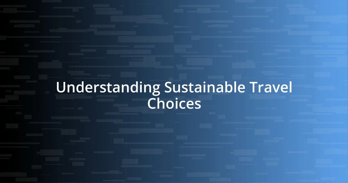 Understanding Sustainable Travel Choices