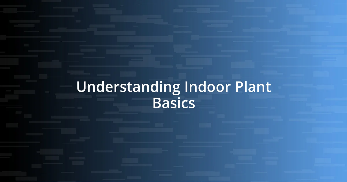 Understanding Indoor Plant Basics